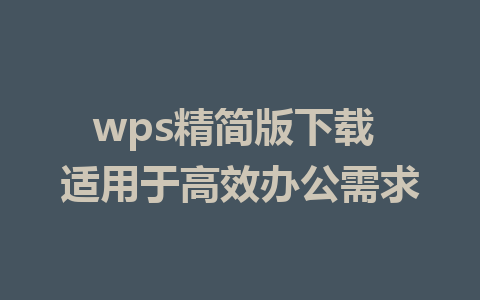 wps精简版下载 适用于高效办公需求