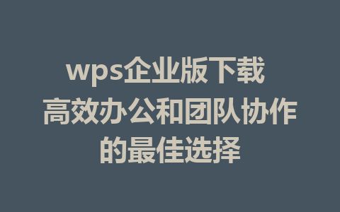 wps企业版下载 高效办公和团队协作的最佳选择