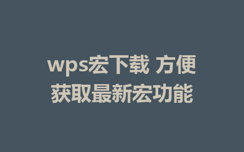 wps宏下载 方便获取最新宏功能