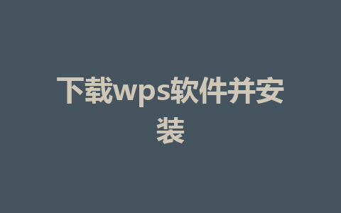 下载wps软件并安装 